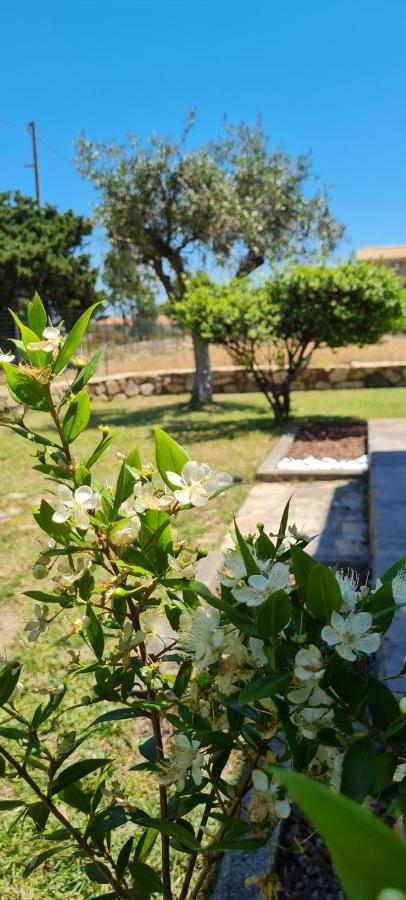House Castiadas Tra Mare E Montagna Εξωτερικό φωτογραφία